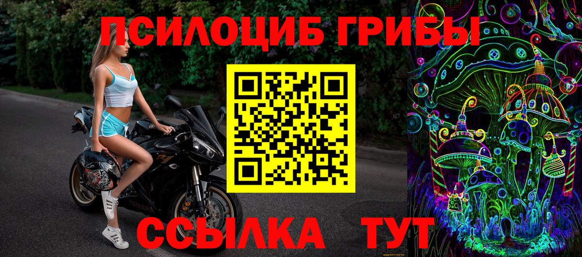 Галлюциногенные грибы прущие грибы Обь